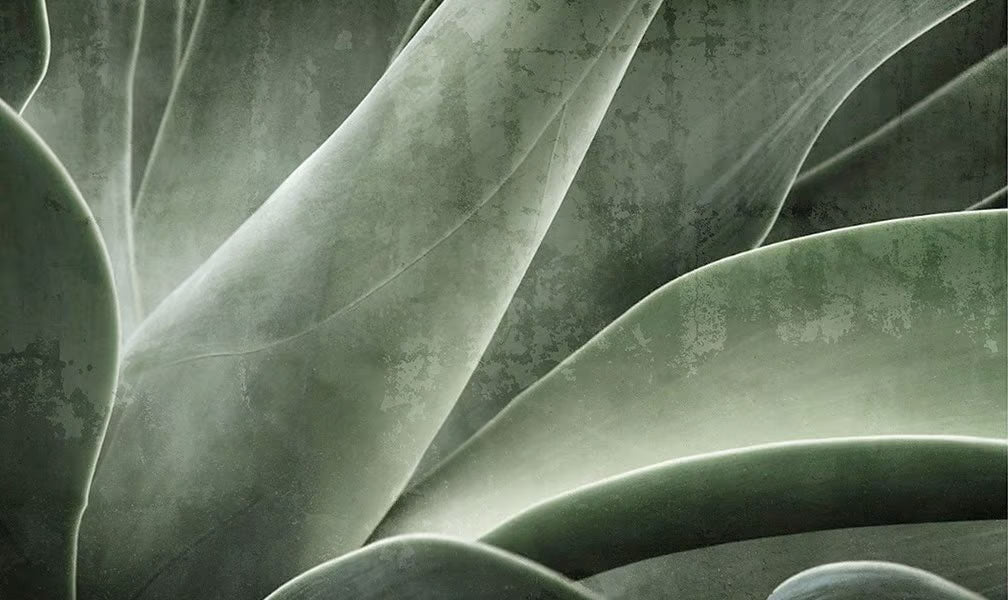 Aloe Micra Mural
