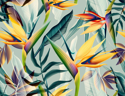 Amshire Strelitzia Mural