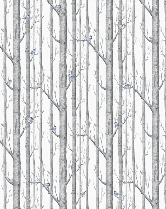 Birchwood Tweets Wallpaper