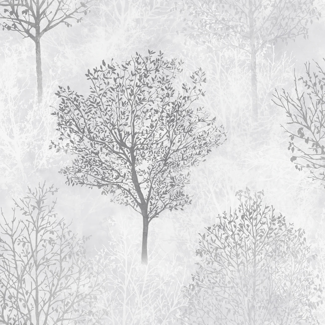 Bush Walk Wallpaper