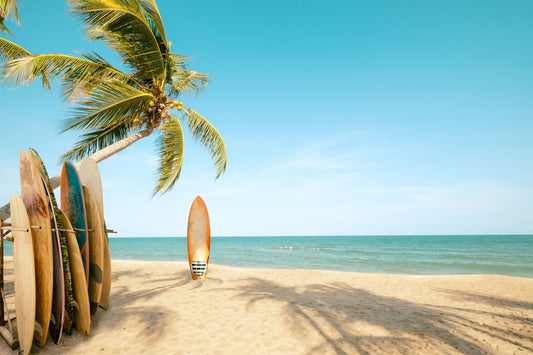 California Shortboard Mural