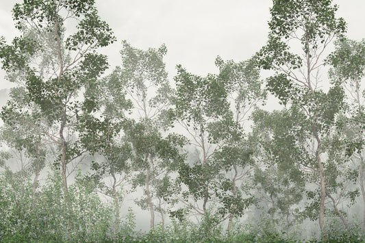 Calsano Forest Mural