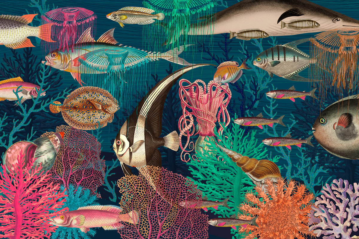 Colorful underwater scene with various fish and sea creatures.