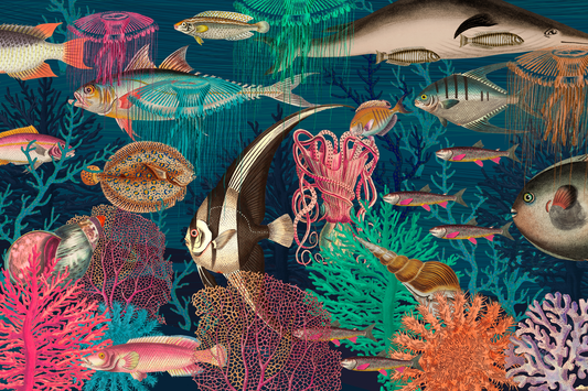 Colorful underwater scene with various fish and sea creatures.
