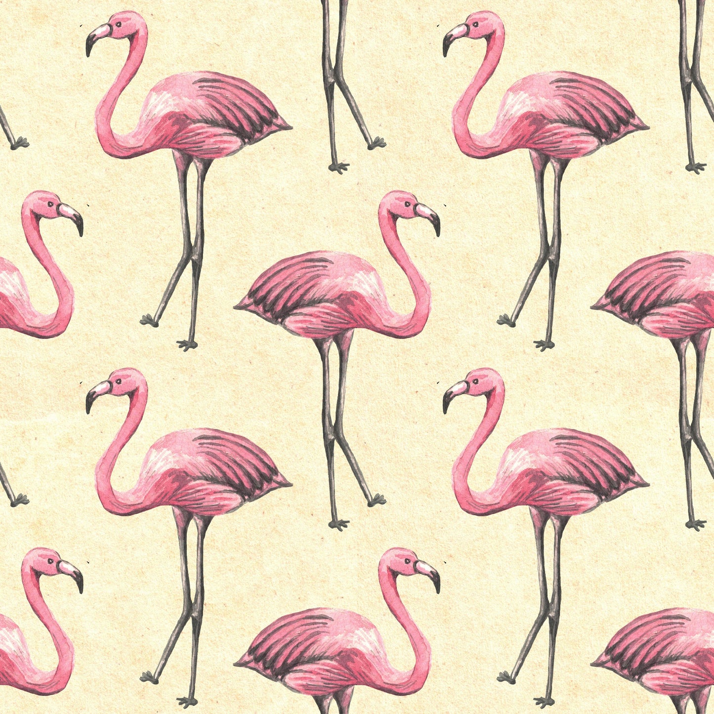 Elegant Roseus Wallpaper