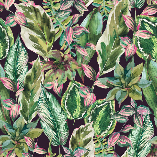 Flushed Orchid Mural
