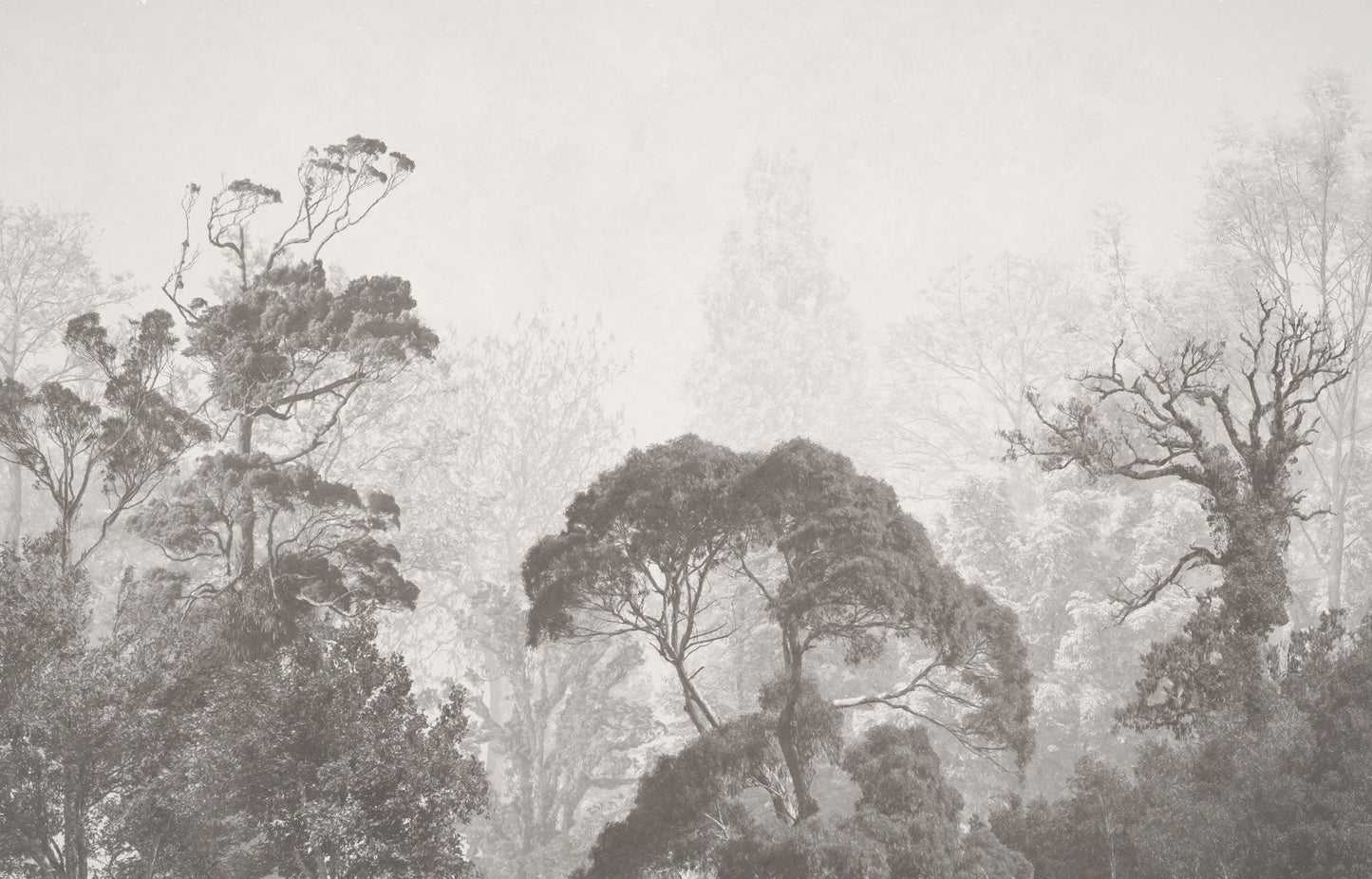 Grey Tone Forest Mural
