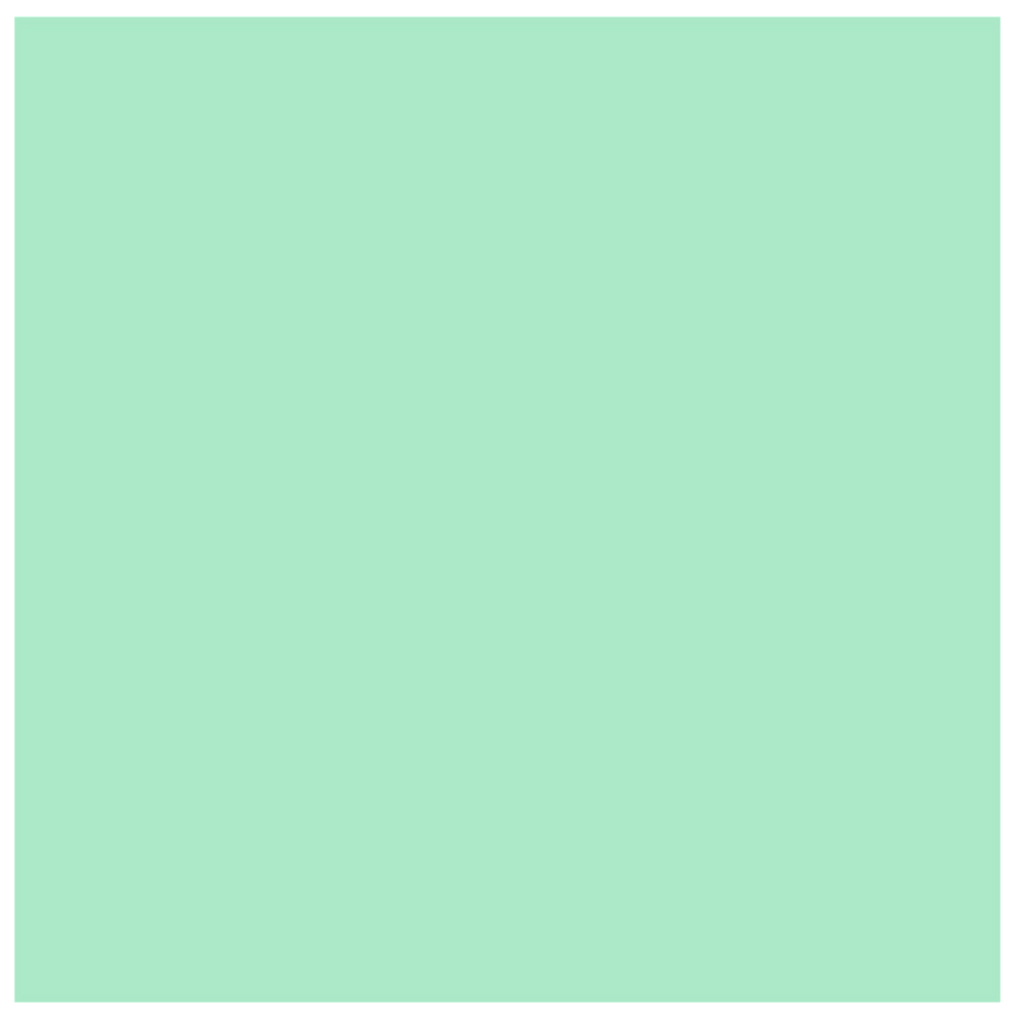 MINT WRAP