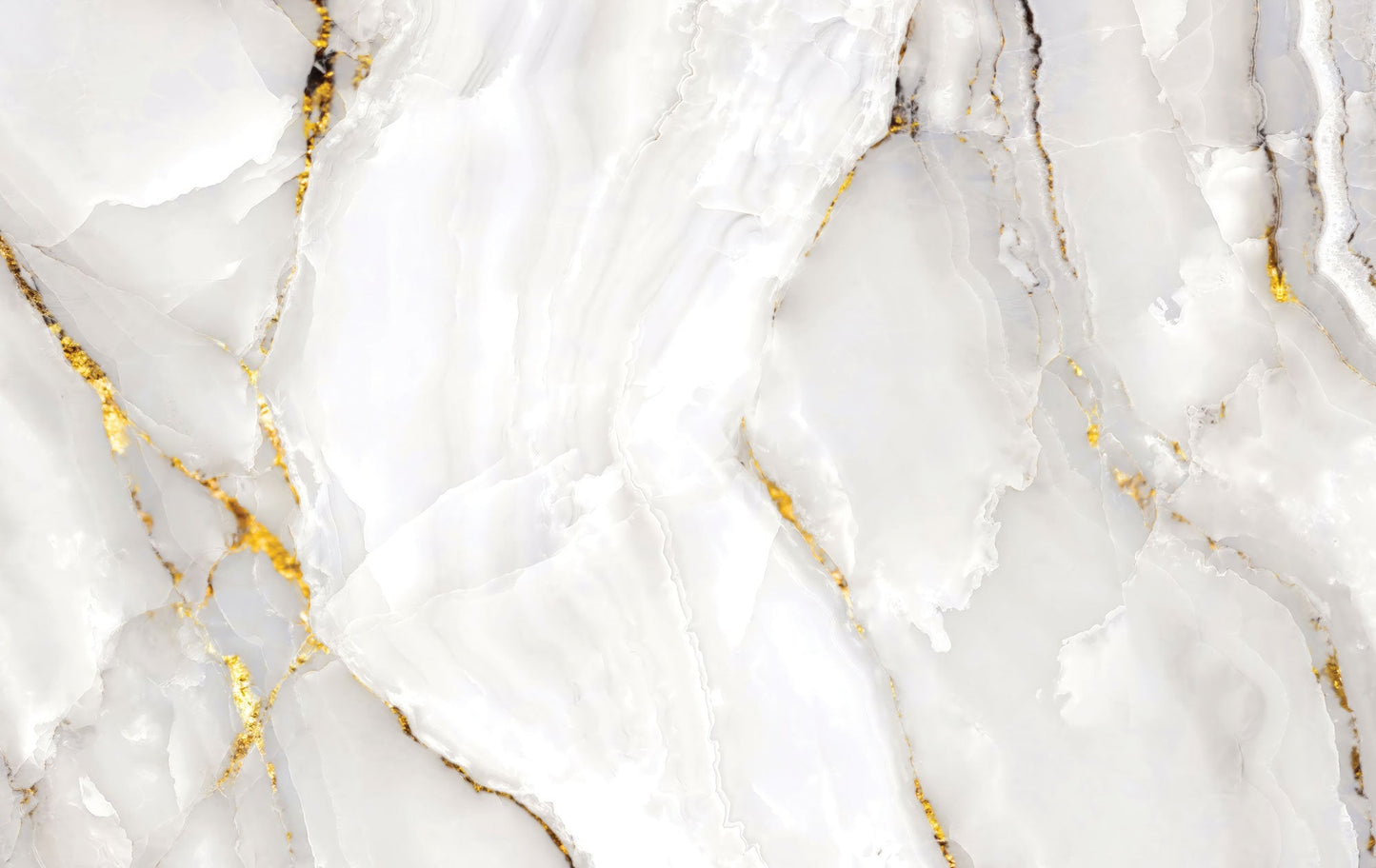 Oyster Marble Mural