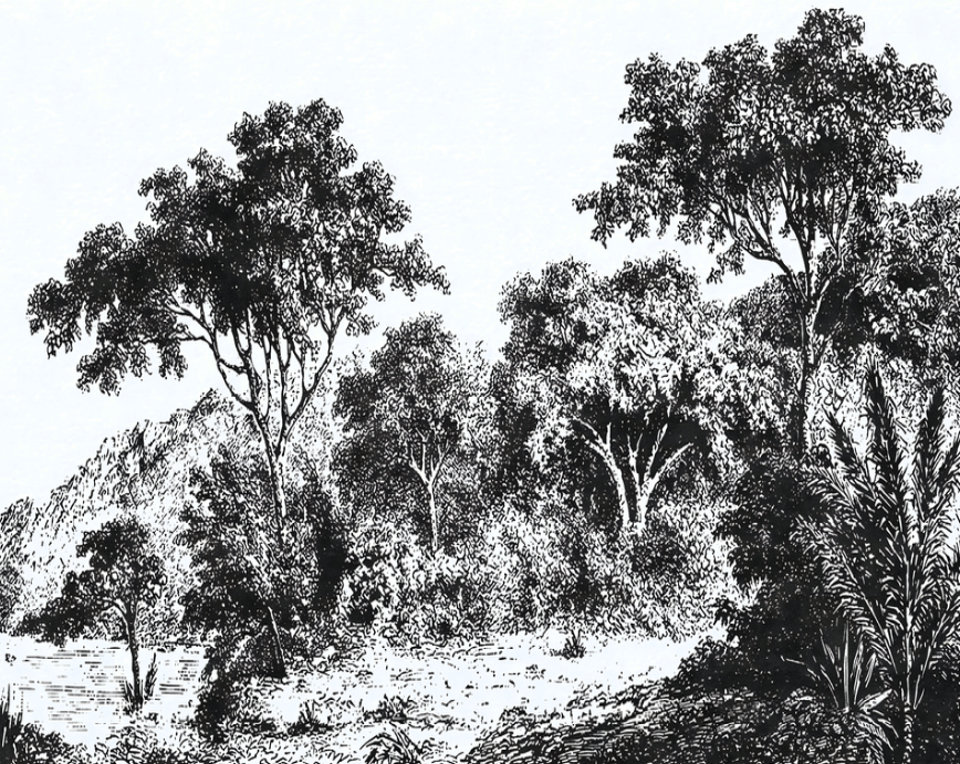 Iranja Forest Mural
