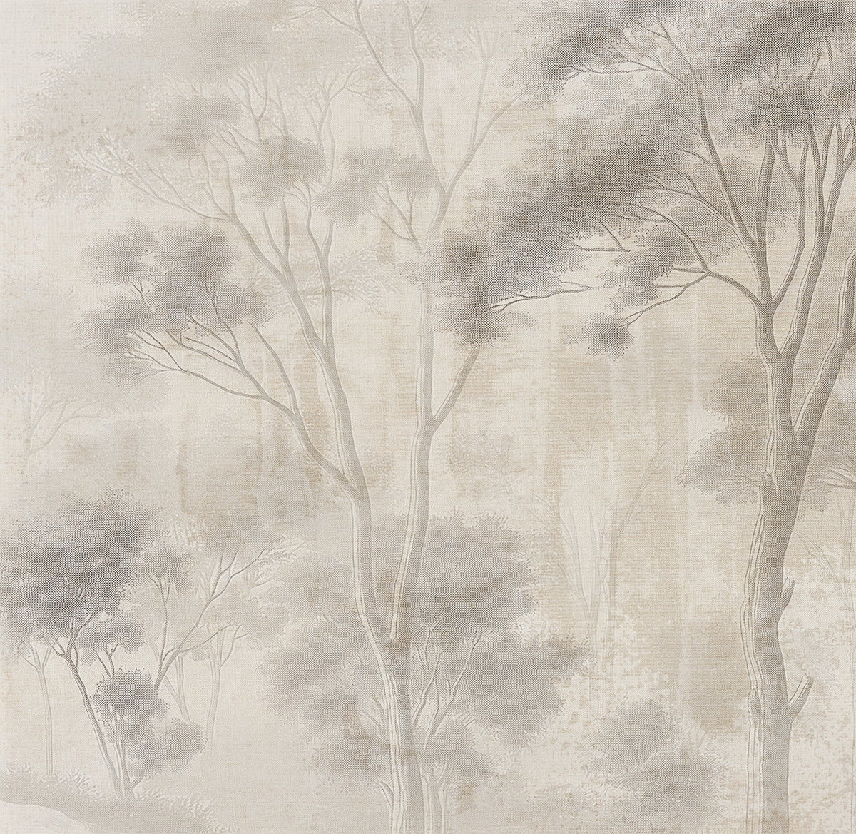 Foggy forest scene with trees in a neutral color palette