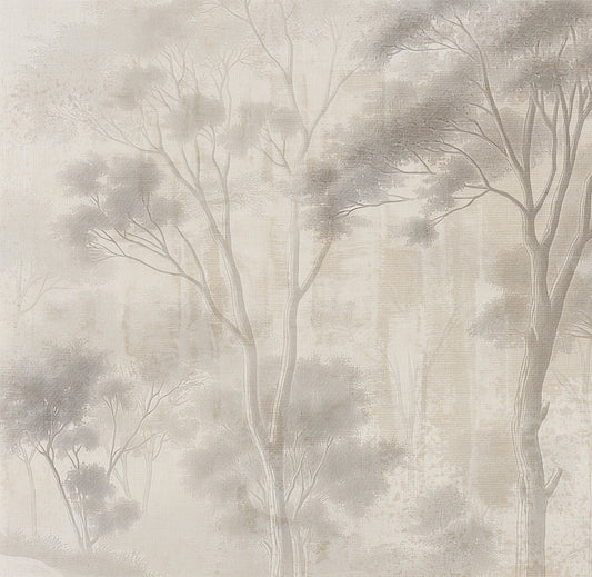 Foggy forest scene with trees in a neutral color palette