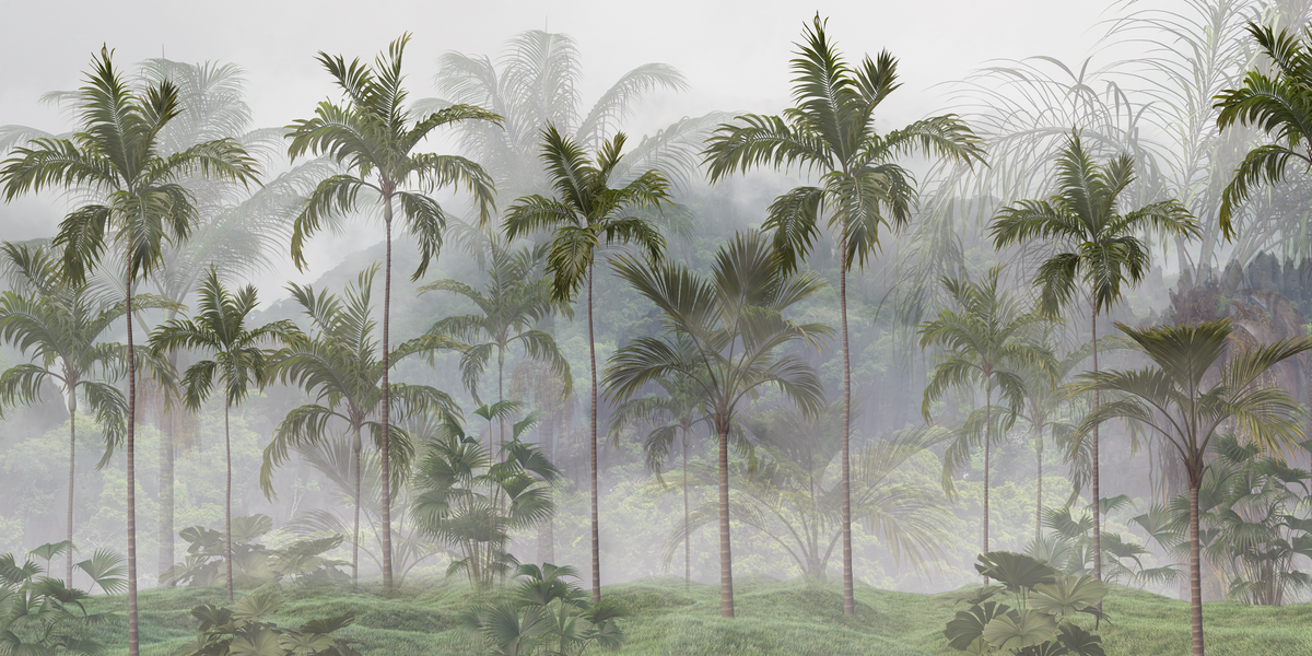 Foggy tropical forest with palm trees