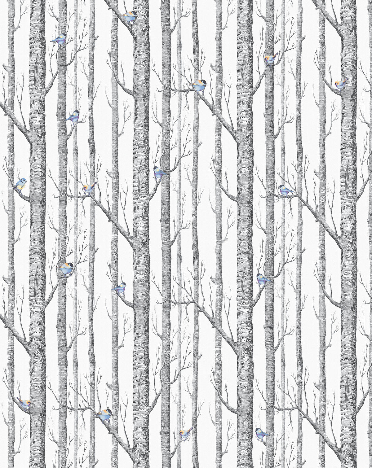 Birchwood Tweets Wallpaper