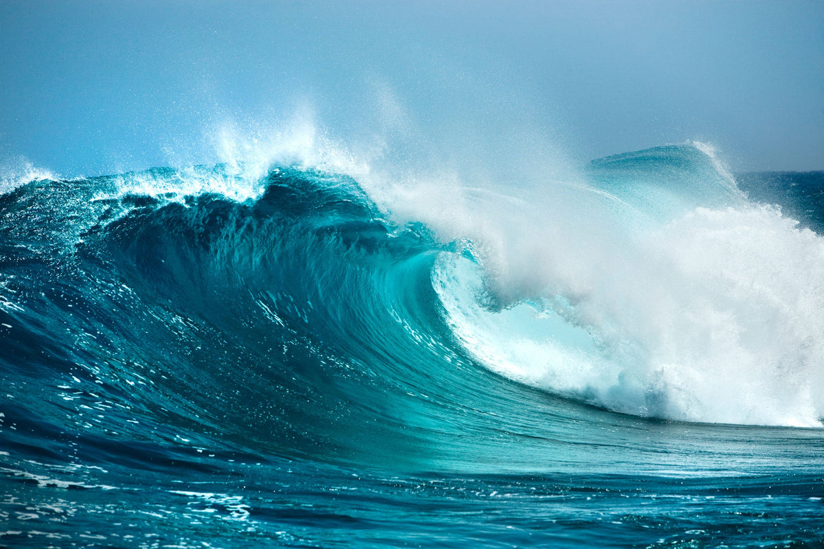 Blue Crush Mural