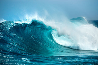 Blue Crush Mural