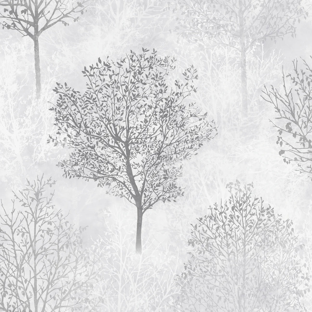 Bush Walk Wallpaper