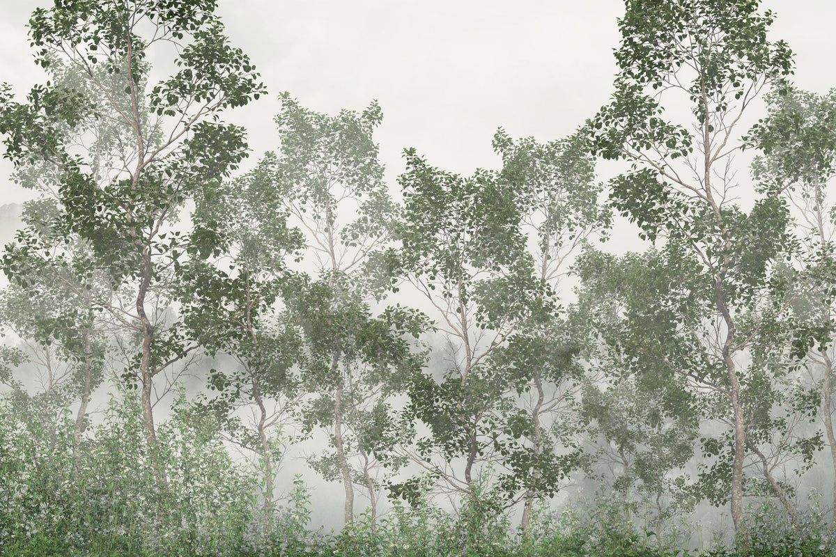 Calsano Forest Mural