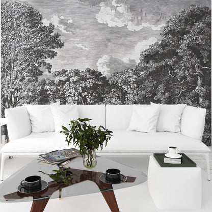 Daintree Forest Mural