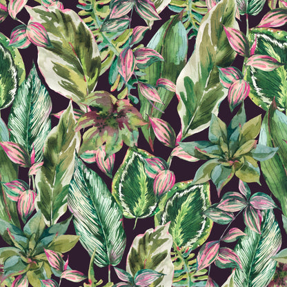 Flushed Orchid Mural