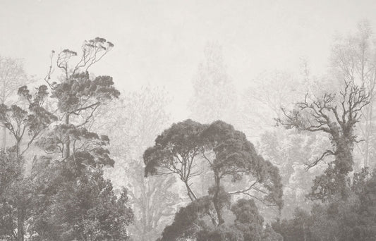 Grey Tone Forest Mural
