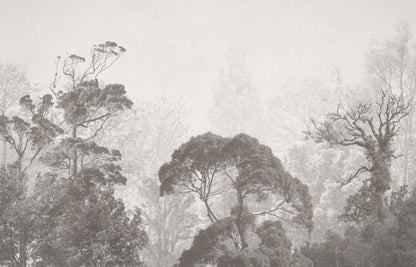 Grey Tone Forest Mural