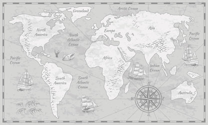 Grey Tone Map Mural