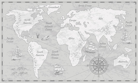 Grey Tone Map Mural