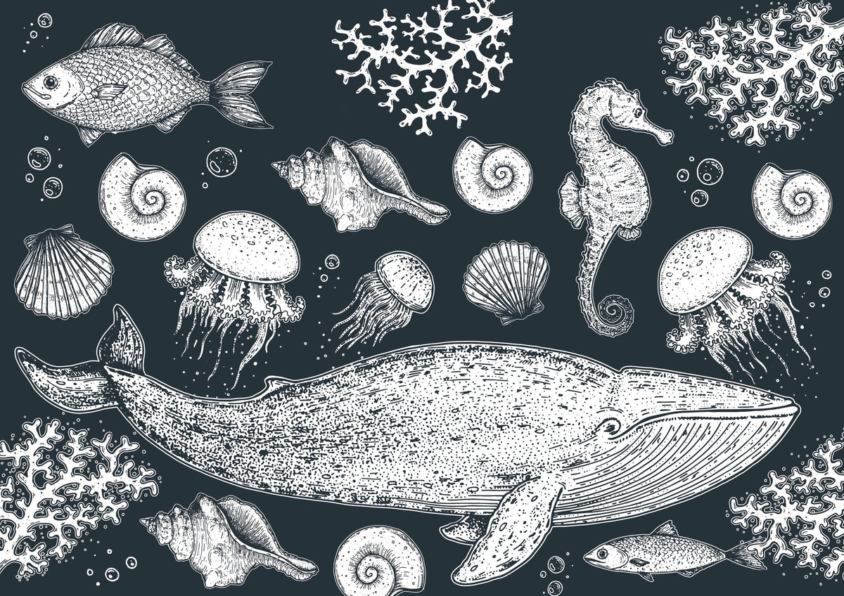 Jonah Sketch Mural
