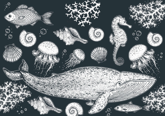 Jonah Sketch Mural