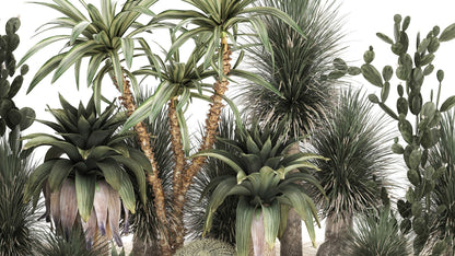 Karoo Gardens Mural