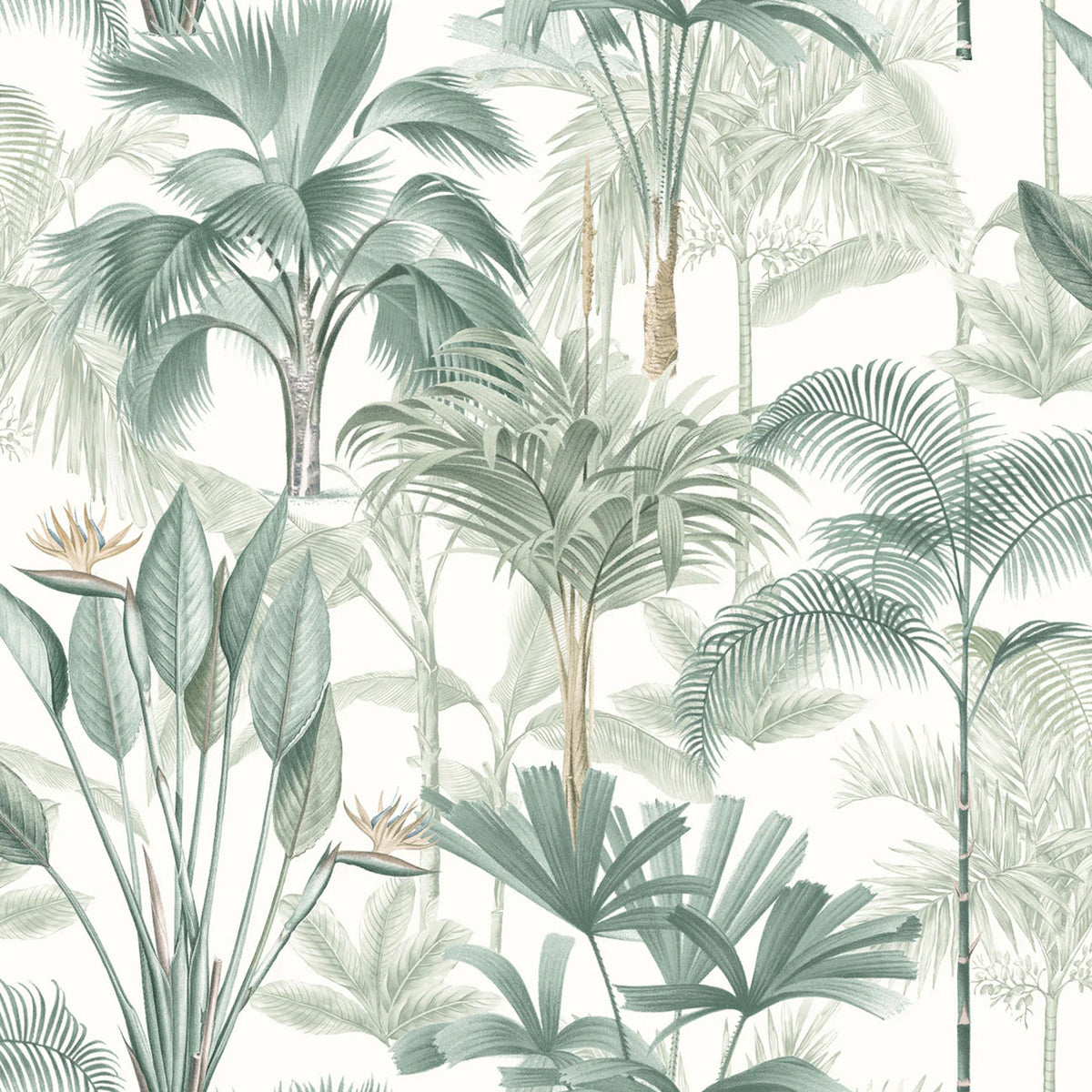 Jungle King Palms Wallpaper