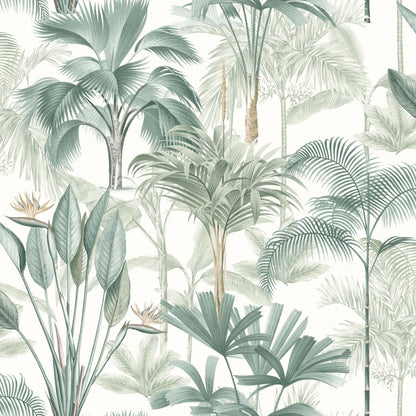 Jungle King Palms Wallpaper