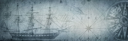 Koru Map Mural