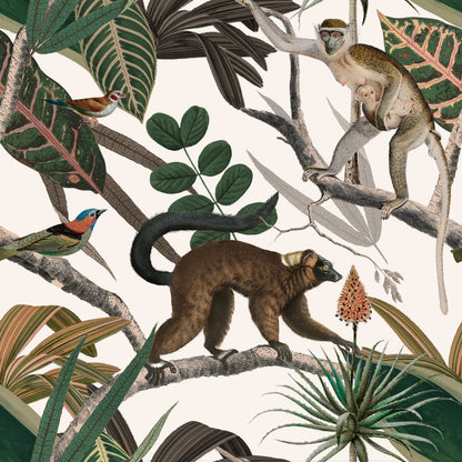 Mandrill Simians Wallpaper