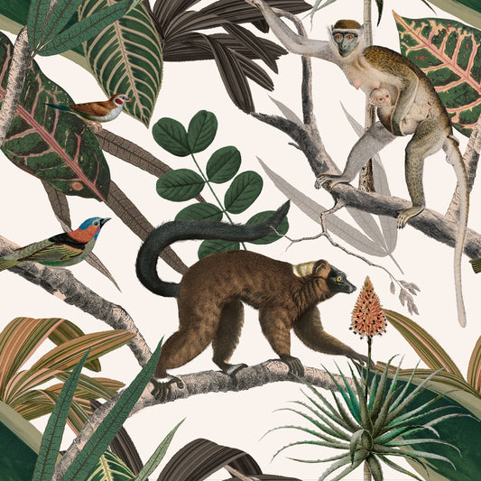 Mandrill Simians Wallpaper