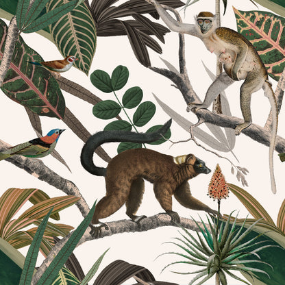 Mandrill Simians Wallpaper