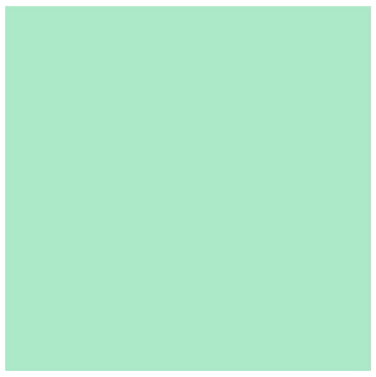 MINT WRAP