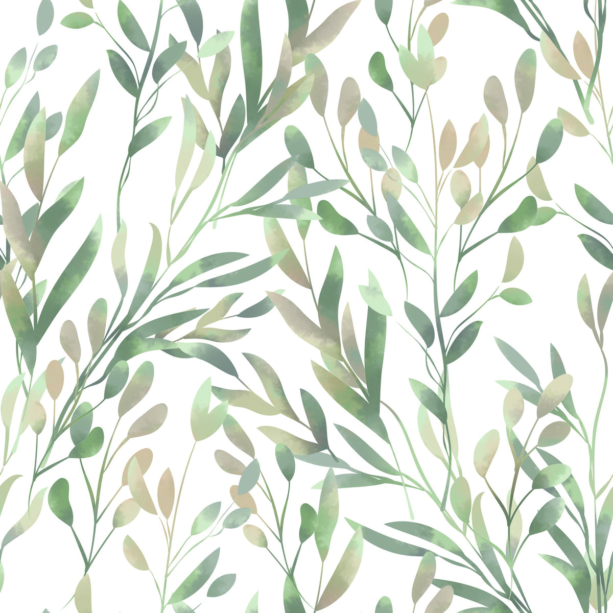 Olive Branch Wallpaper