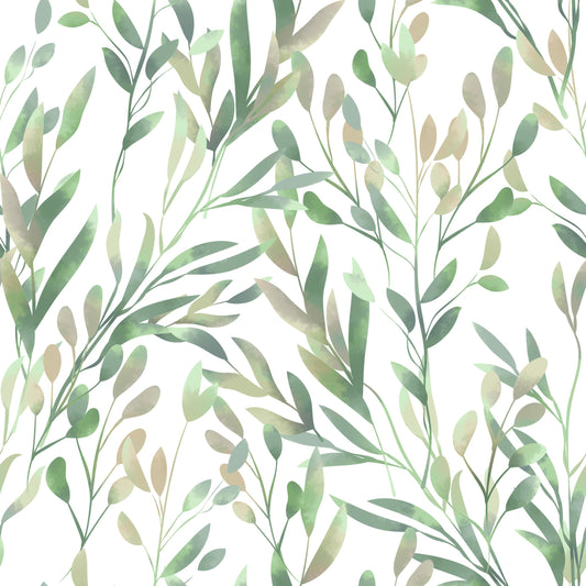 Olive Branch Wallpaper