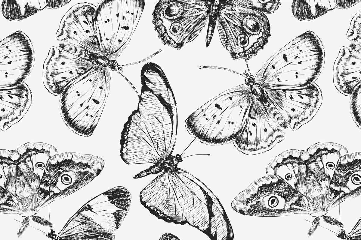 Illustration of butterflies in black and white on a light background