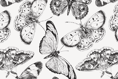 Illustration of butterflies in black and white on a light background