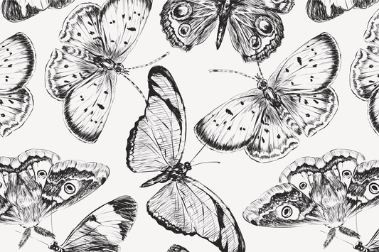 Illustration of butterflies in black and white on a light background