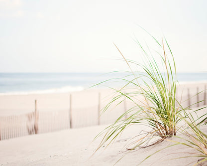 Salty Grass Mural