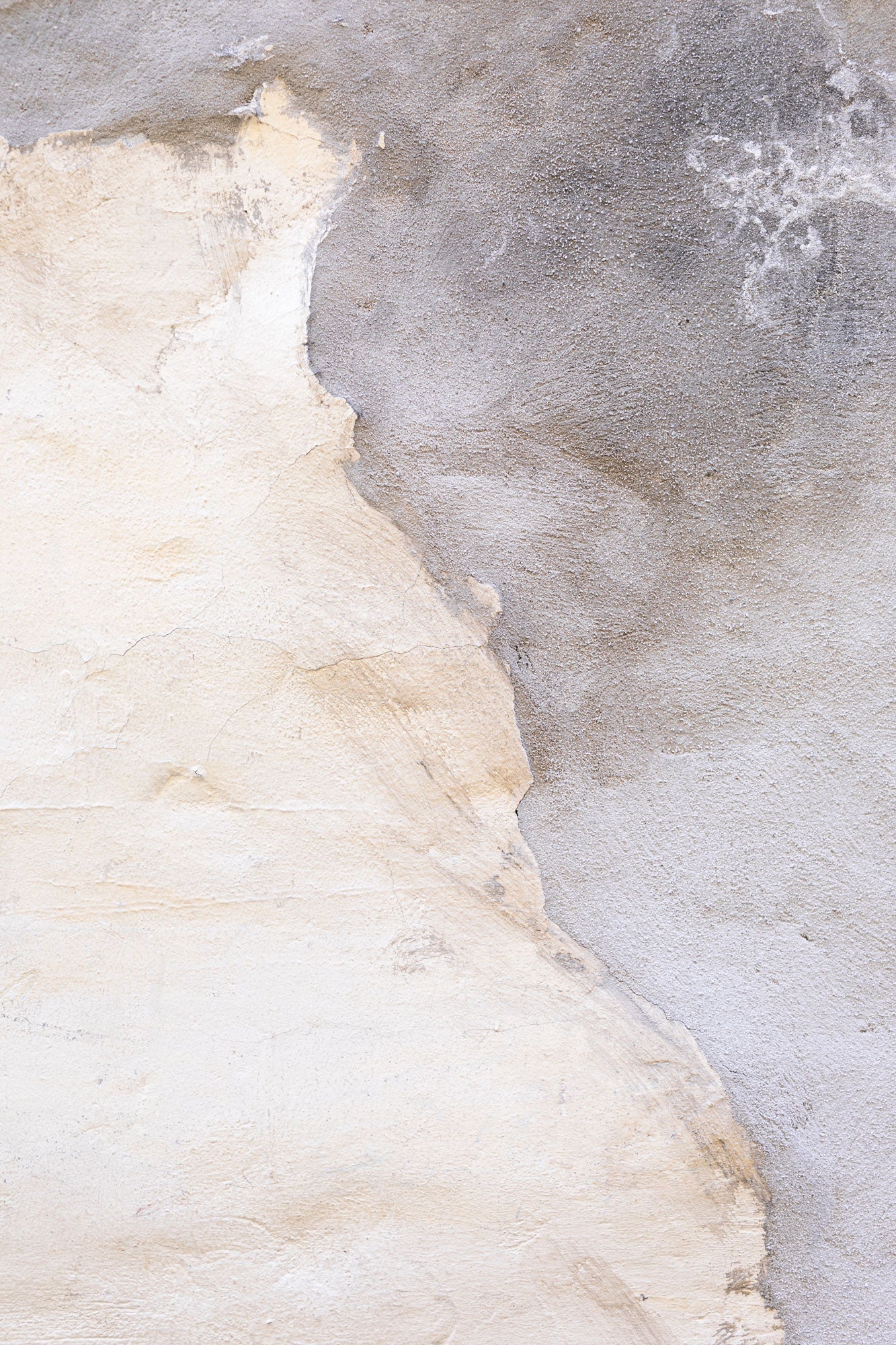 Sandblast Concrete Mural