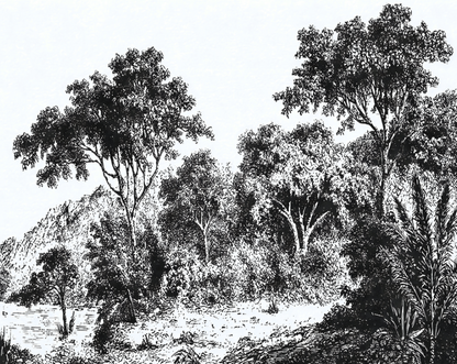 Iranja Forest Mural