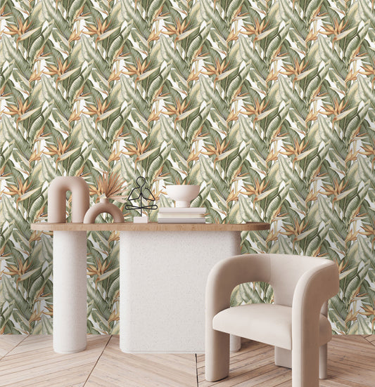 Strelitzia Palms Wallpaper