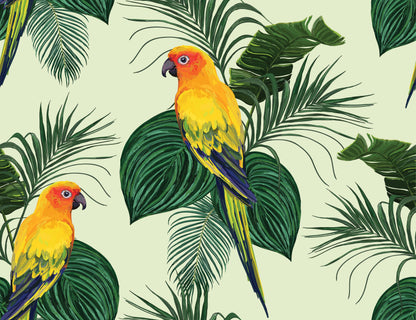 Canicularis Perch Wallpaper